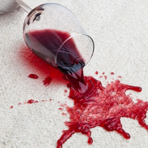 How to Clean Carpet Stains this Holiday Season